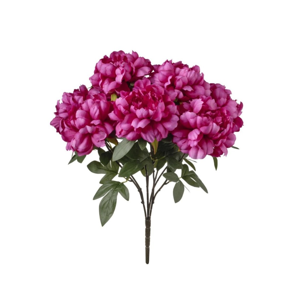 MAZZO PEONIE CM50 BEAUTY